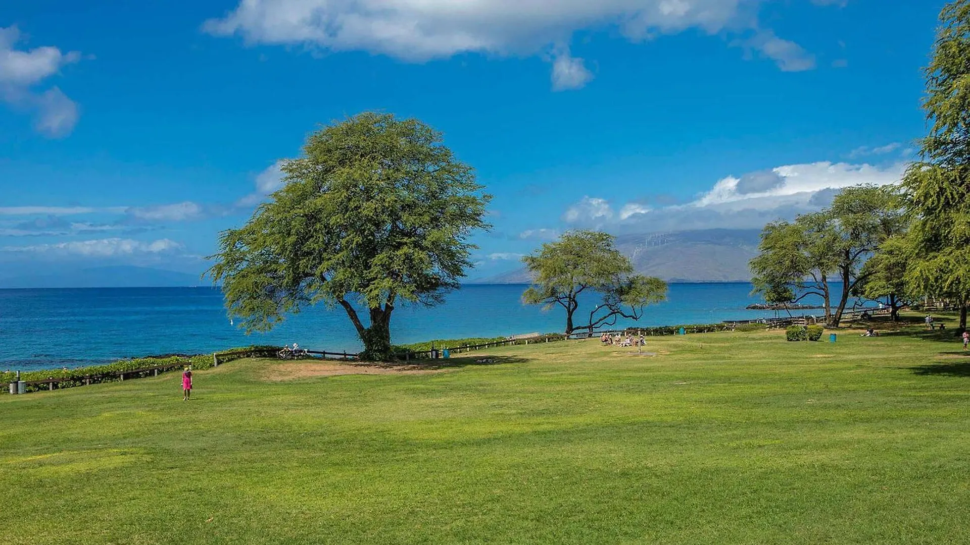 Kamaole Sands 7-206 Wailea  United States
